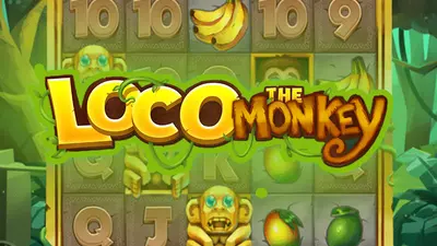 loco the monkey